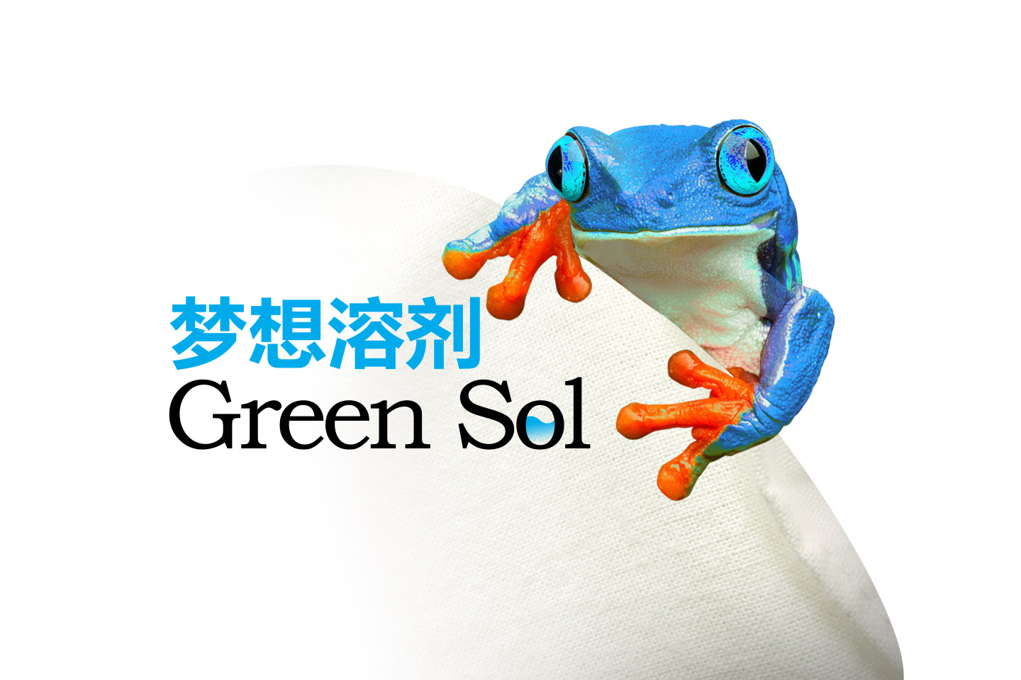梦想溶剂GREEN-SOL